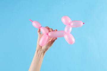 Woman's hand holds a pink balloon in the shape of dog on blue background
