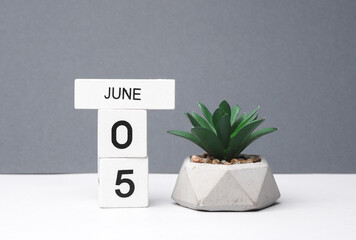 White block calendar with the date June 5 and decorative plant in pot on white-gray background. Deadline, planning, business concept