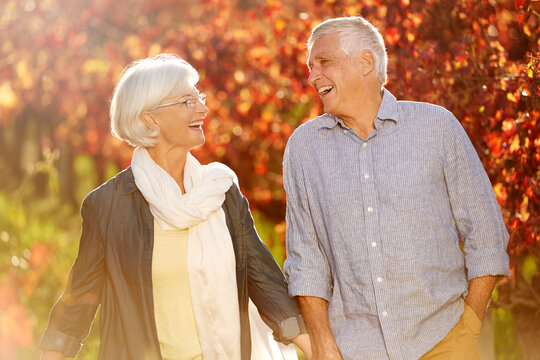 Holding hands, laughing and a senior couple in a vineyard, walking together while on a romantic date. Funny, love or romance with a mature man and woman taking a walk on wine farm for bonding