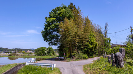 田舎の分かれ道