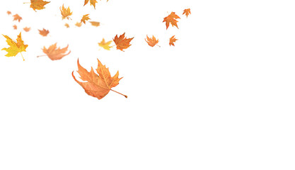 fallen falling autumn leaves background dry empty sky - Powered by Adobe