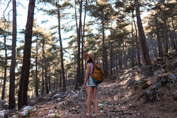 Naklejka na ściany i meble A woman with a backpack and a straw hat on a mountain path