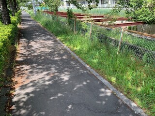 春日部市内の景色