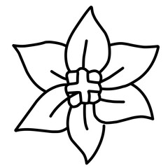 Hand Drawn Leaf Sketch Outline 