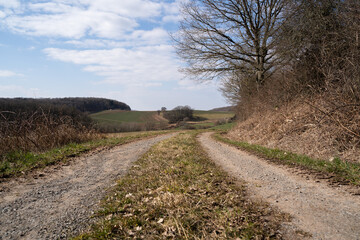 Dirt road in countryside with leafless trees and arable fields in spring