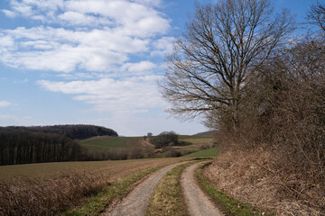 Dirt road in the countryside with agricultural fields, trees and a blue  sky with clouds in spring