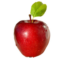 red apple with water drops