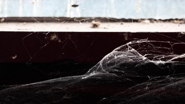 The old cobweb flutters in the wind under the window