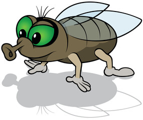 Green-eyed Brown Housefly on All Four Limbs