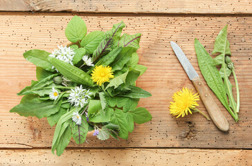 Wildkräutersalat Salat Wildkräuter frisch Brett Frühling