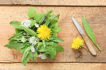 frisch Wildkräuter Salat Heilkräuter Wildkräutersalat essbare Blüten 
