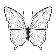 Fototapeta na wymiar Vector illustration of cute butterfly, coloring book,minimalist, Silhouette 