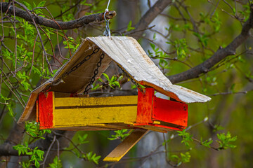 Homemade bird feeder hanging on a tree on a spring day