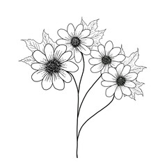 Line Drawings of Flowers and Leaves in Black and White PNG Format 
