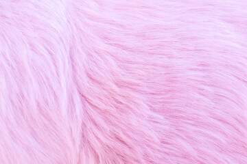 Obraz premium Beautiful abstract pink white dog hair texture background