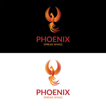 Phoenix bird spread wings in gradient color logo design
