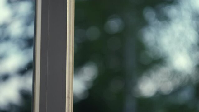 Cropped view of female hand open pvc window with double glazing on background green forest during sunrise or sunset. Concept of noise cancellation and airing room. Selective focus