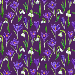 Seamless pattern of watercolor purple crocuses and snowdrop flowers. Hand drawn illustration. Botanical hand painted floral elements on purple background.