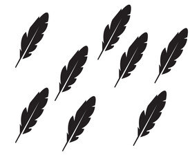 seamless pattern with feathers