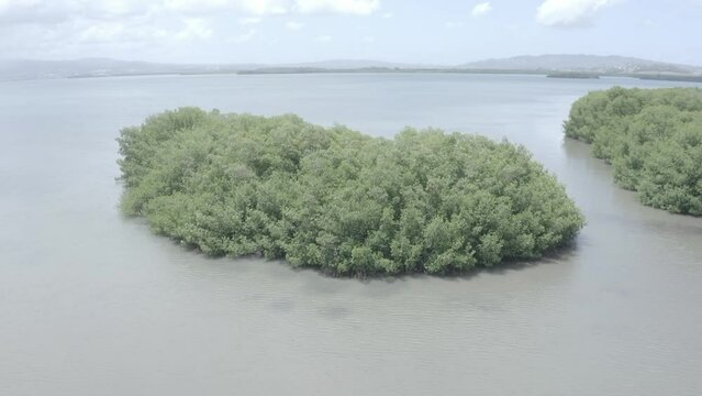 Un petit &icirc;let accueillant nich&eacute; au c&oelig;ur d'une for&ecirc;t de mangroves luxuriante, incitant les voyageurs &agrave; s'aventurer dans les m&eacute;andres des voies navigables et &agrave; explorer.