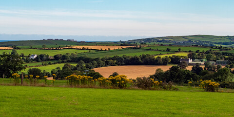 Fototapeta na wymiar Green farm fields and hills in the evening in Ireland. Irish rural landscape, agricultural land. Green field near green trees
