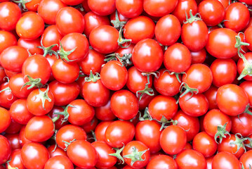 Delicious red tomatoes in Summer tray market agriculture farm full of organic. Fresh tomatoes, It can be used as background - 599791329