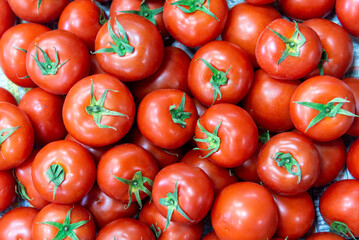 Delicious red tomatoes in Summer tray market agriculture farm full of organic. Fresh tomatoes, It can be used as background - 599791331