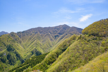 Obraz premium 山々