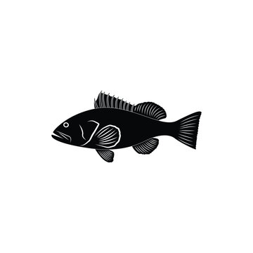 grouper fish icon