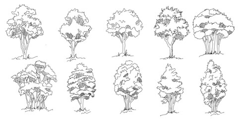 Hand draw tree set different doodle vector illustration