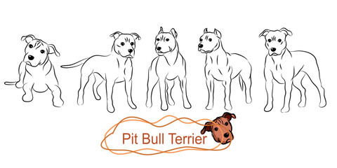 tree, draw, sketch, bush, architecture, hand, pen, silhouette, architect, wood, line, vector, park, artistic, garden, background, icon, summer, isolated, nature, art, illustration, grass, landscape, l