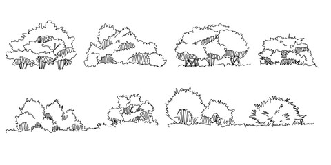 Set of hand drawn architect trees. Tree Sketch Architectural illustration landscape