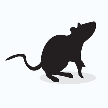 Water Vole silhouettes and icons. Black flat color simple elegant Water Vole animal vector and illustration.