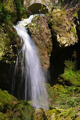 Obraz premium Beautiful waterfall in the forest. Natural colorful background.
