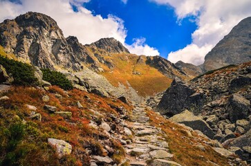 Summer mountain landscape in sunny day. Beautiful mountain rocky peaks in High Tatra, Slovakia.