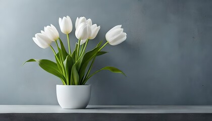 White tulip flowers bouquet in pot on shelf in front of gray concrete wall. View with copy space