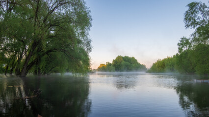 reflection of trees in water
