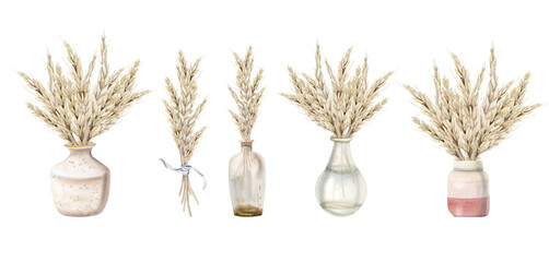 Watercolor wheat bouquets in glass and ceramic vases illustration set isolated on white background for harvest compositions in pastel colors, Shavuot greetings, bakery menu and decor