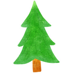 The big pine in the forest