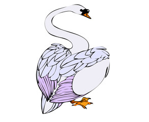 Swan bird drawing 