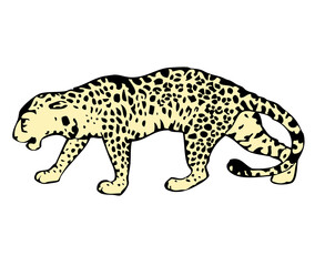 Crowched jaguar vector 