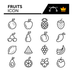 Fruits Line Vector Icons Set. Simple Flat Icon. Editable Stroke