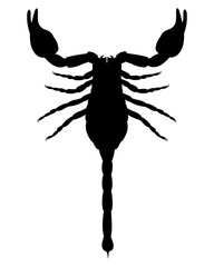 Scorpion icon. Isolated black silhouette of scorpion.