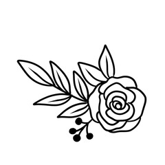 hand drawn rose