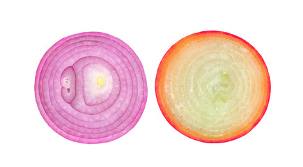 onion slice on transparent png