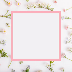 Pink flowers frame on white background, , composition on white background.