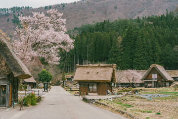 Fototapeta na wymiar Shirakawago in spring, Gifu prefecture, Japan