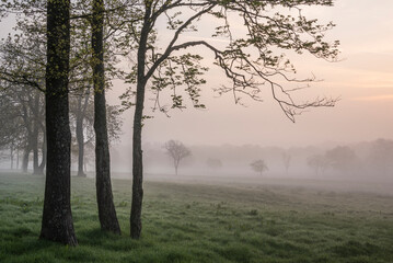 Obraz na płótnie Canvas Lovely foggy sunrise in English countryside with soft pastel sky and calm feeling