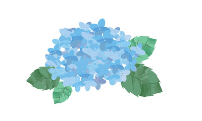 青い紫陽花イラスト素材