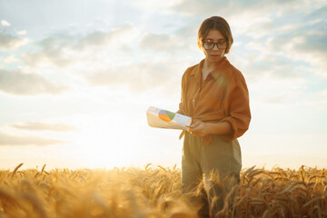 Farm owner with tablet in her hands in wheat field checks quality and progress of harvest....